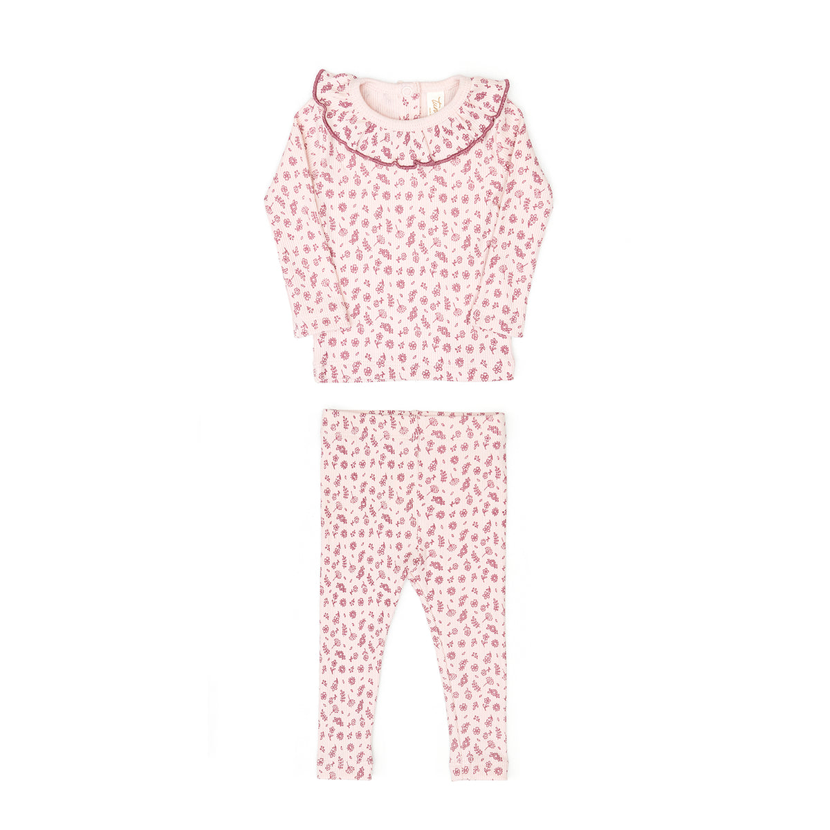 Set Ruffle top + Ribbed pant - Rose flowers - cotton