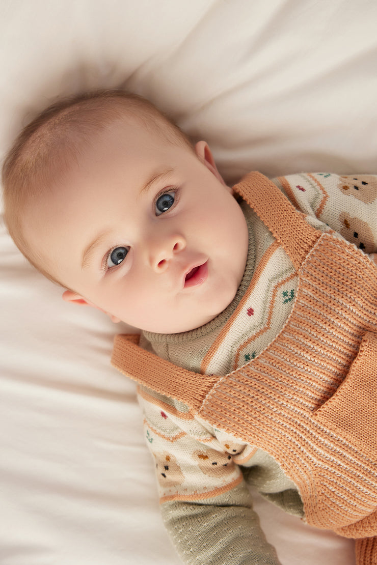 Bear Sweater Pima Cotton Light green & natural