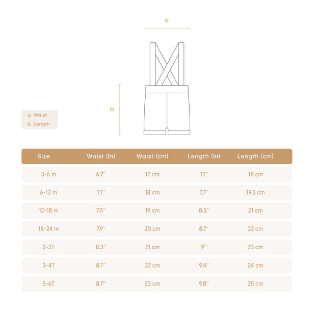 Pointelle Top + Knitted Suspender Short  pima cotton Lime