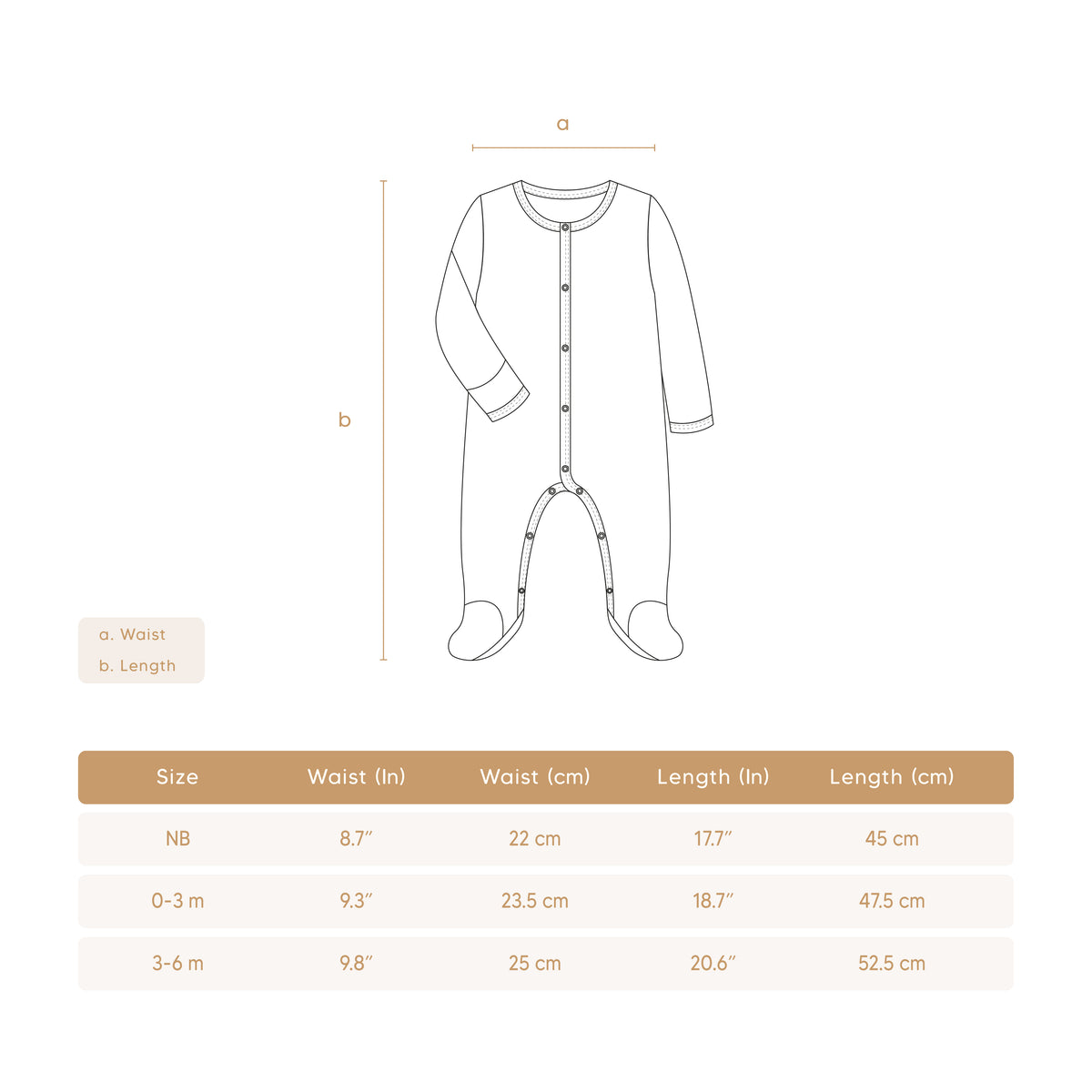 Snaps footie Natural bears - pima cotton