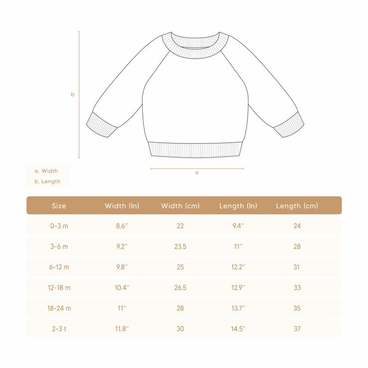 CARS SWEATER LIGHT BLUE